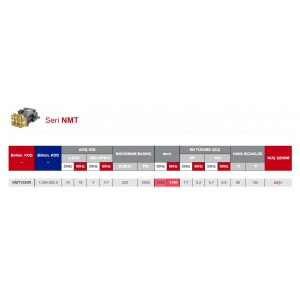 Hawk NMT 200 Bar italyan oto yıkama Pompası VHP Baypass